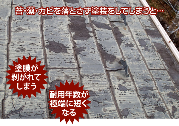 苔・藻・カビを落とさず塗装をしてしまうと塗膜が剥がれてしまったり耐用年数が短くなったりする