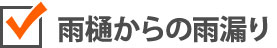 雨樋からの雨漏り