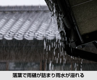 落葉で雨樋が詰まり雨水が溢れる