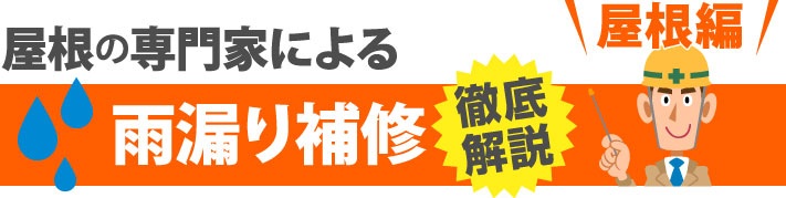 屋根の専門家による屋根の雨漏り補修を徹底解説