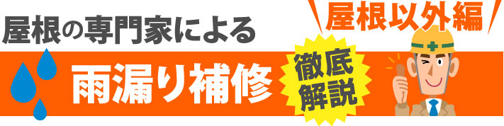 屋根の専門家による屋根以外の雨漏り補修を徹底解説