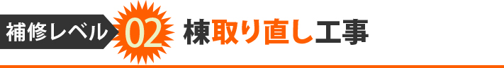 補修レベル02棟取り直し工事