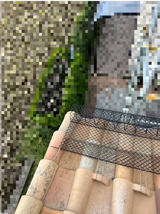 雪止めネットの下のほうは雨どい金具にステンレス線で固定