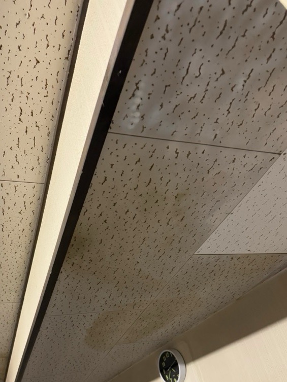 雨漏りで雨染みが出来ています