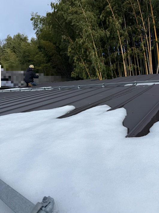 竹が倒れて傷がついたガルバ屋根