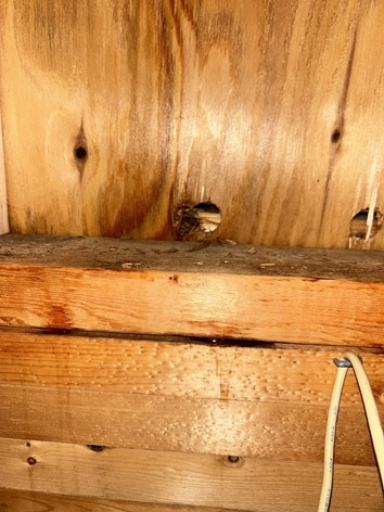 雨水・雪解け水が垂れてきています