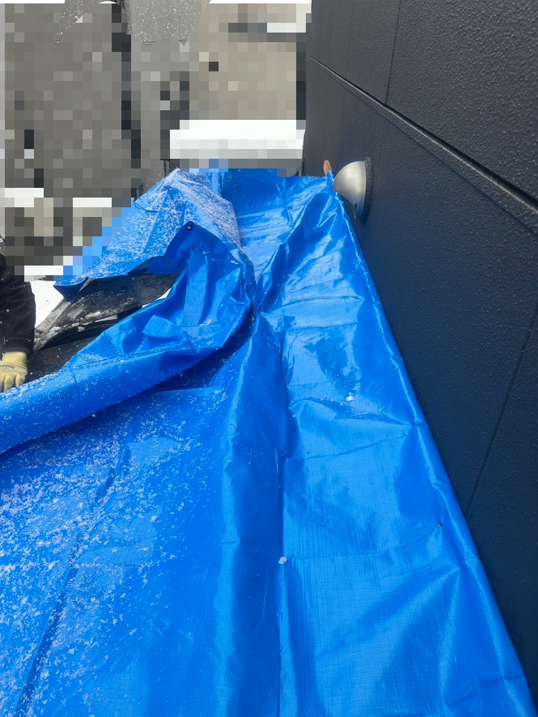 サンルーム屋根を養生