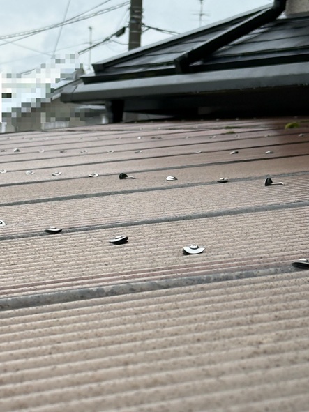 波板を固定しているビス（ネジ）が浮いている