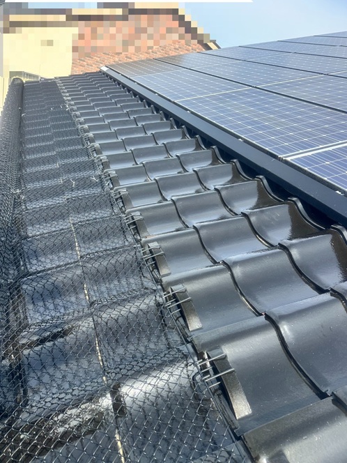 ゆきもちくん施工完了