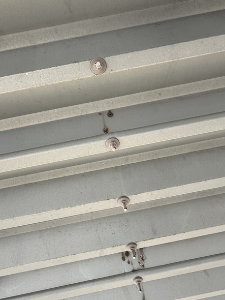 サビが出ています