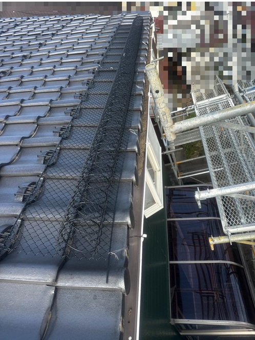 ゆきもちくん設置