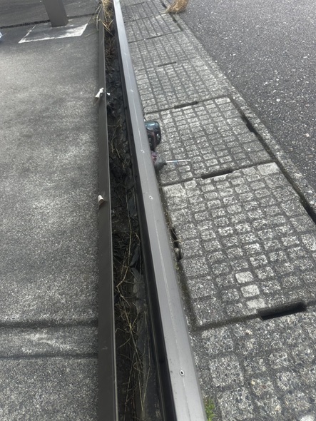 雨どいに詰まった鳥の巣