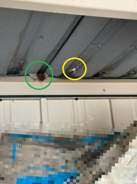 物置屋根　雨漏り　カバー工事　施工前