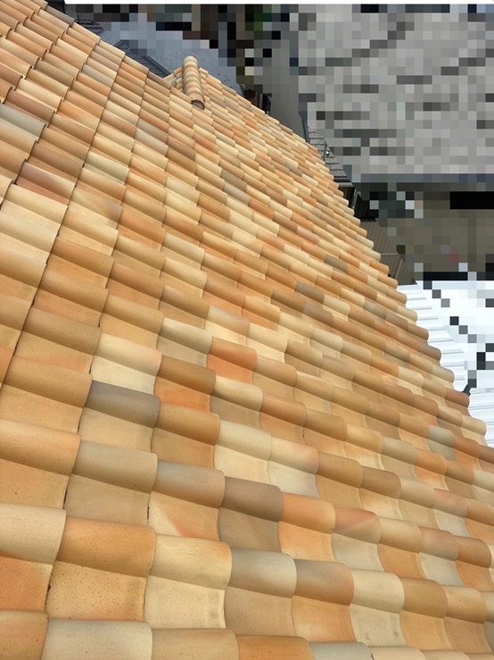 雪止めネットのゆきもちくん設置前