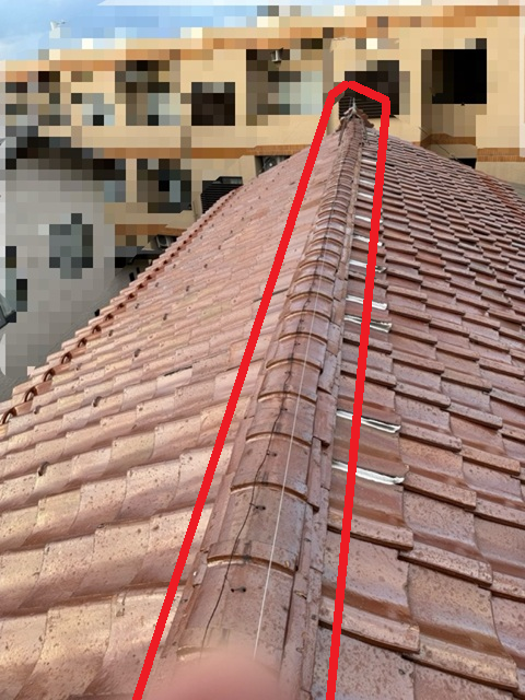 屋根全体も確認