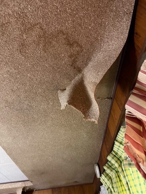 【金沢市】8月の大雨で外壁・瓦屋根から雨漏りしているとのお問い合わせ【現場調査】