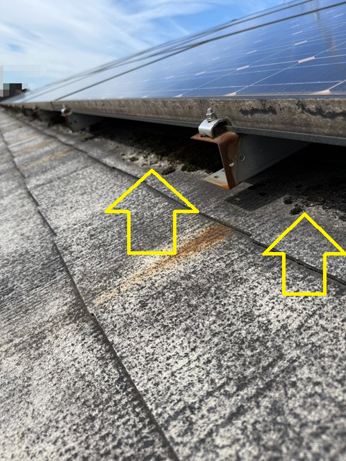 太陽光パネルの下にコケ