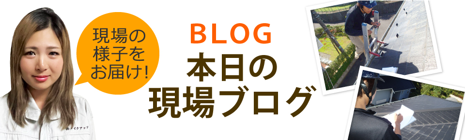 金沢市、白山市、津幡町エリア、その他地域のブログ