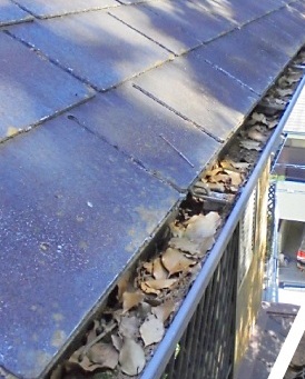 【内灘町】秋から冬にかけて…落ち葉が雨どいに溜まっていませんか？