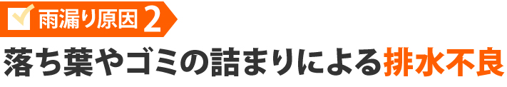 落ち葉やゴミの詰まりによる排水不良