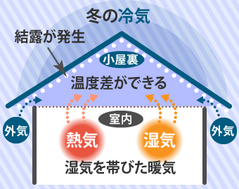 冬は室内と小屋裏の温度差によって結露が発生